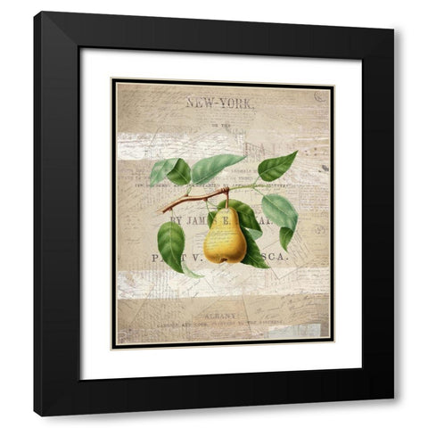 Fruit 2 Black Modern Wood Framed Art Print with Double Matting by Kimberly, Allen
