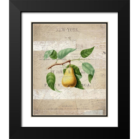 Fruit 2 Black Modern Wood Framed Art Print with Double Matting by Kimberly, Allen