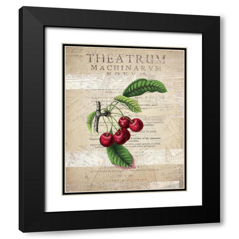 Fruit 3 Black Modern Wood Framed Art Print with Double Matting by Kimberly, Allen