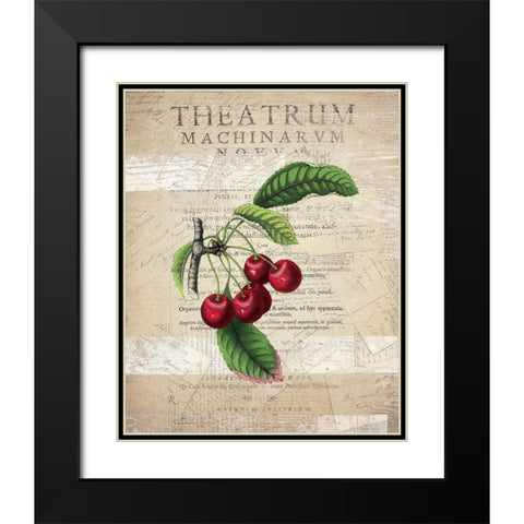 Fruit 3 Black Modern Wood Framed Art Print with Double Matting by Kimberly, Allen