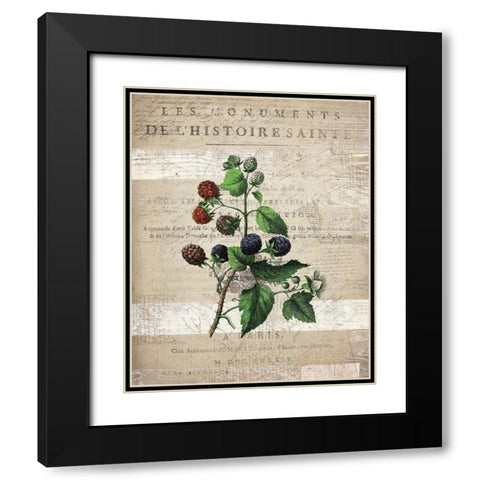 Fruit 4 Black Modern Wood Framed Art Print with Double Matting by Kimberly, Allen