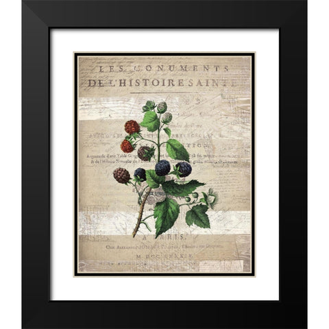 Fruit 4 Black Modern Wood Framed Art Print with Double Matting by Kimberly, Allen
