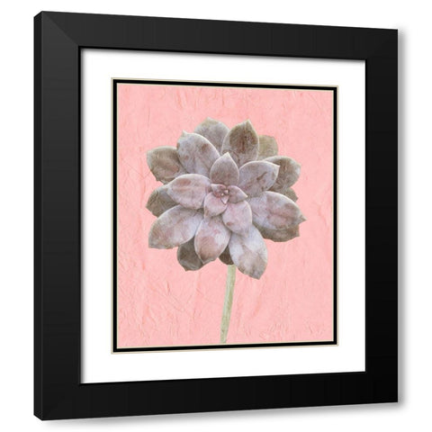 On Pink C Black Modern Wood Framed Art Print with Double Matting by Kimberly, Allen