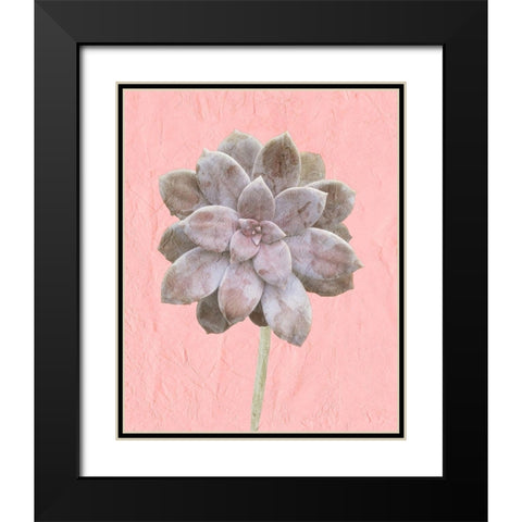 On Pink C Black Modern Wood Framed Art Print with Double Matting by Kimberly, Allen