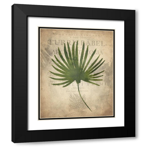 Palms C Black Modern Wood Framed Art Print with Double Matting by Kimberly, Allen