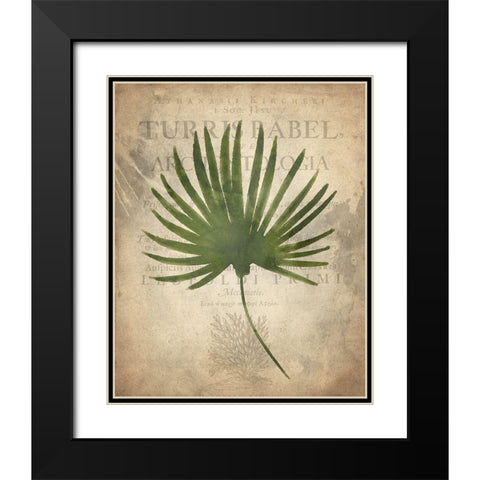 Palms C Black Modern Wood Framed Art Print with Double Matting by Kimberly, Allen
