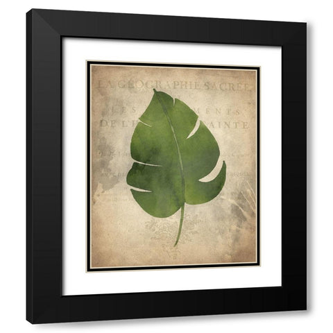 Palms D Black Modern Wood Framed Art Print with Double Matting by Kimberly, Allen