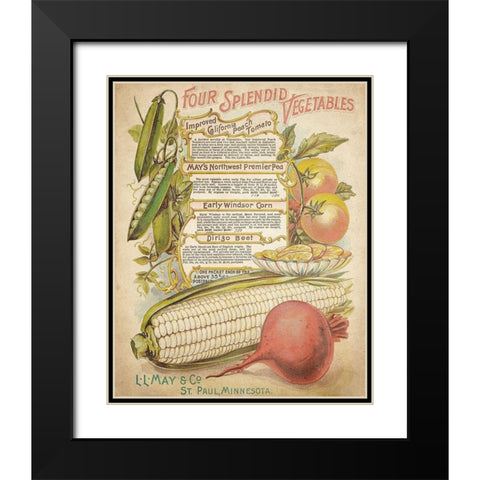 Splendid Vegetables Black Modern Wood Framed Art Print with Double Matting by Kimberly, Allen