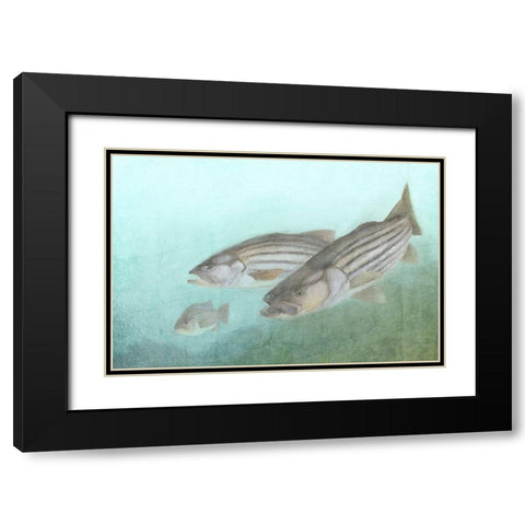 Fish Family Black Modern Wood Framed Art Print with Double Matting by Kimberly, Allen