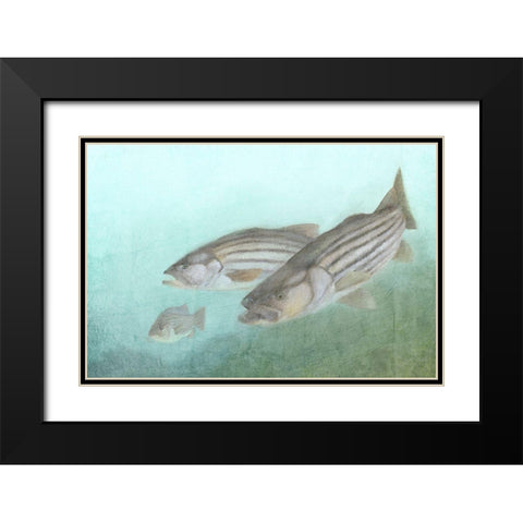 Fish Family Black Modern Wood Framed Art Print with Double Matting by Kimberly, Allen