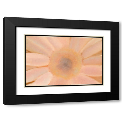 Soft Glow Black Modern Wood Framed Art Print with Double Matting by Kimberly, Allen