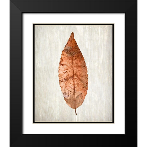 Copper Leaves 1 Black Modern Wood Framed Art Print with Double Matting by Kimberly, Allen