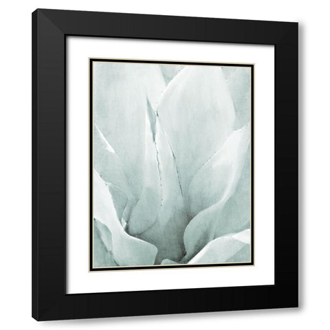 Agave II Black Modern Wood Framed Art Print with Double Matting by Kimberly, Allen