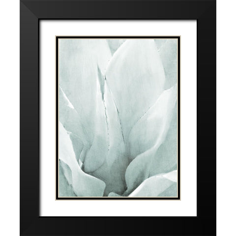 Agave II Black Modern Wood Framed Art Print with Double Matting by Kimberly, Allen