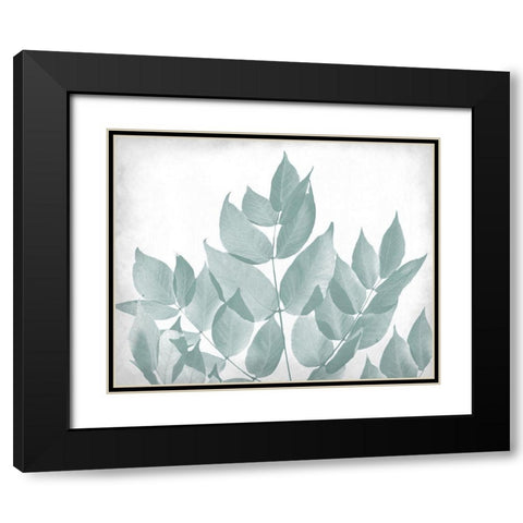 Antiqued Leaves 1 Black Modern Wood Framed Art Print with Double Matting by Kimberly, Allen