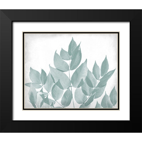 Antiqued Leaves 1 Black Modern Wood Framed Art Print with Double Matting by Kimberly, Allen