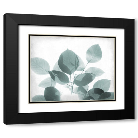 Antiqued Leaves 2 Black Modern Wood Framed Art Print with Double Matting by Kimberly, Allen