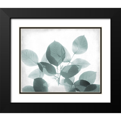 Antiqued Leaves 2 Black Modern Wood Framed Art Print with Double Matting by Kimberly, Allen