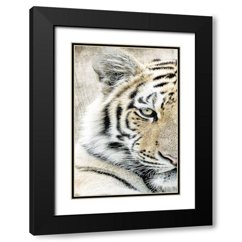 Concentration A Black Modern Wood Framed Art Print with Double Matting by Kimberly, Allen