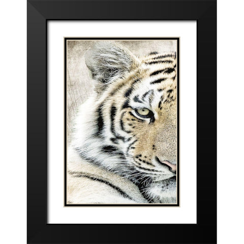 Concentration A Black Modern Wood Framed Art Print with Double Matting by Kimberly, Allen