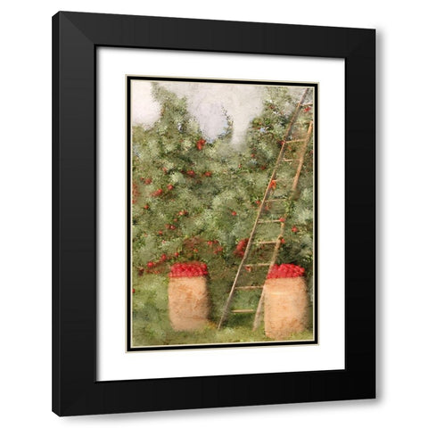 Country Fall 3 Black Modern Wood Framed Art Print with Double Matting by Kimberly, Allen