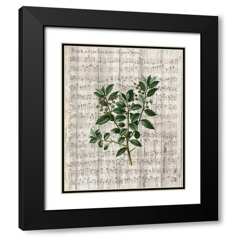 Musical Botanical 2 Black Modern Wood Framed Art Print with Double Matting by Kimberly, Allen