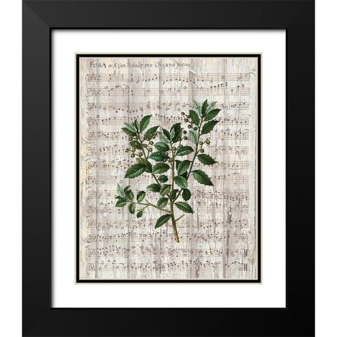Musical Botanical 2 Black Modern Wood Framed Art Print with Double Matting by Kimberly, Allen