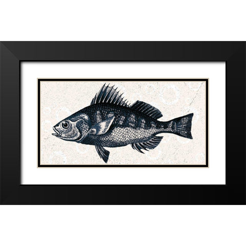 Sea Life 1 Black Modern Wood Framed Art Print with Double Matting by Kimberly, Allen