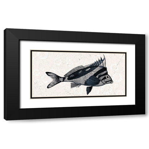 Sea Life 2 Black Modern Wood Framed Art Print with Double Matting by Kimberly, Allen