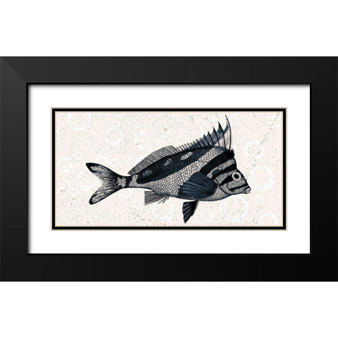 Sea Life 2 Black Modern Wood Framed Art Print with Double Matting by Kimberly, Allen