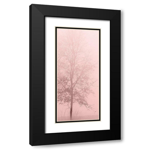 Pink Dawn 2 Black Modern Wood Framed Art Print with Double Matting by Kimberly, Allen