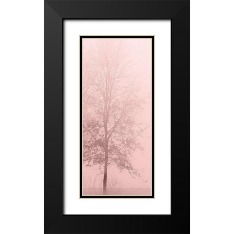 Pink Dawn 2 Black Modern Wood Framed Art Print with Double Matting by Kimberly, Allen