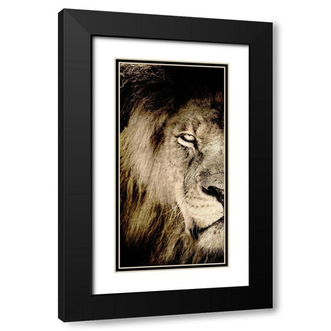 Gaze A Black Modern Wood Framed Art Print with Double Matting by Kimberly, Allen