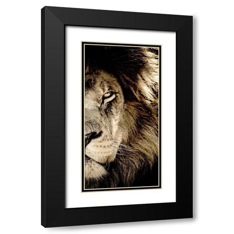 Gaze B Black Modern Wood Framed Art Print with Double Matting by Kimberly, Allen