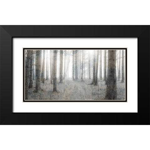 Forest Dream Black Modern Wood Framed Art Print with Double Matting by Kimberly, Allen