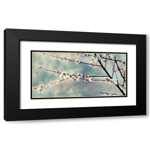 Cherry Blossoms Bloom Black Modern Wood Framed Art Print with Double Matting by Kimberly, Allen