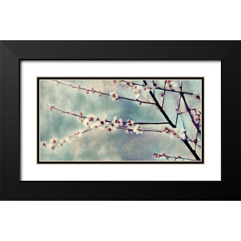 Cherry Blossoms Bloom Black Modern Wood Framed Art Print with Double Matting by Kimberly, Allen