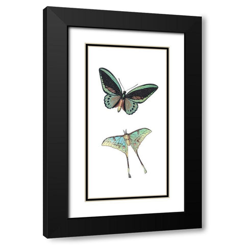 Fly Free 1 Black Modern Wood Framed Art Print with Double Matting by Kimberly, Allen