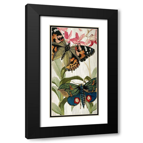 Butterfly World 1 Black Modern Wood Framed Art Print with Double Matting by Kimberly, Allen