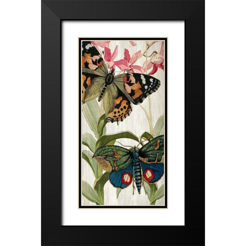 Butterfly World 1 Black Modern Wood Framed Art Print with Double Matting by Kimberly, Allen