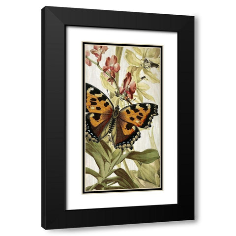 Butterfly World 2 Black Modern Wood Framed Art Print with Double Matting by Kimberly, Allen