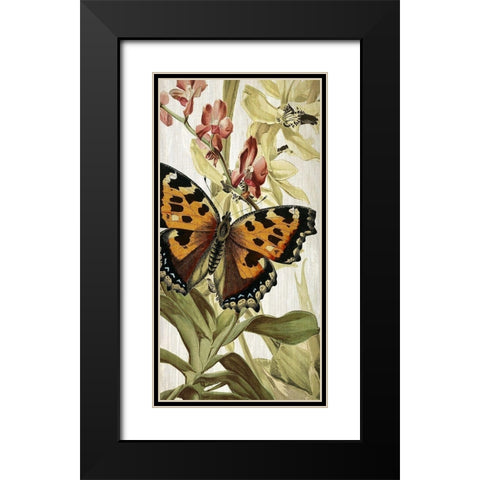 Butterfly World 2 Black Modern Wood Framed Art Print with Double Matting by Kimberly, Allen