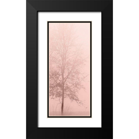 Pinkest Dawn 2 Black Modern Wood Framed Art Print with Double Matting by Kimberly, Allen