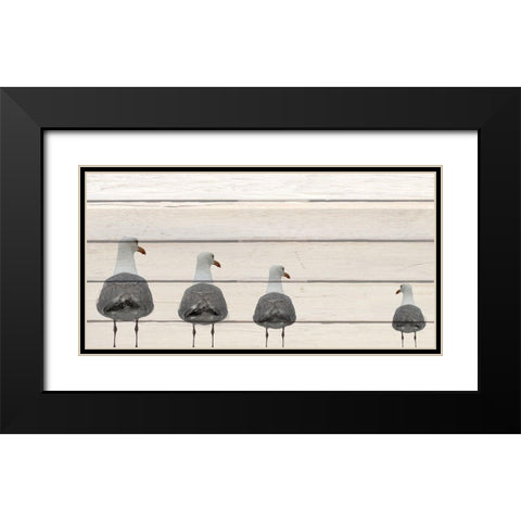 Seagulls on Wood Black Modern Wood Framed Art Print with Double Matting by Kimberly, Allen