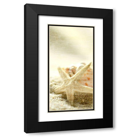 Starfish Beach 6 v2 Black Modern Wood Framed Art Print with Double Matting by Kimberly, Allen