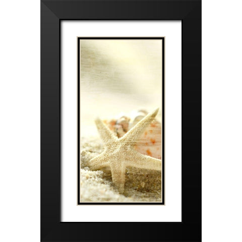 Starfish Beach 6 v2 Black Modern Wood Framed Art Print with Double Matting by Kimberly, Allen