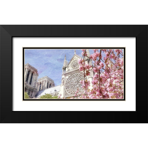 Paris in Bloom 3 Black Modern Wood Framed Art Print with Double Matting by Kimberly, Allen