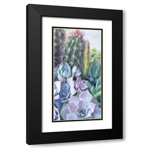 Succulent Garden 1 Black Modern Wood Framed Art Print with Double Matting by Kimberly, Allen