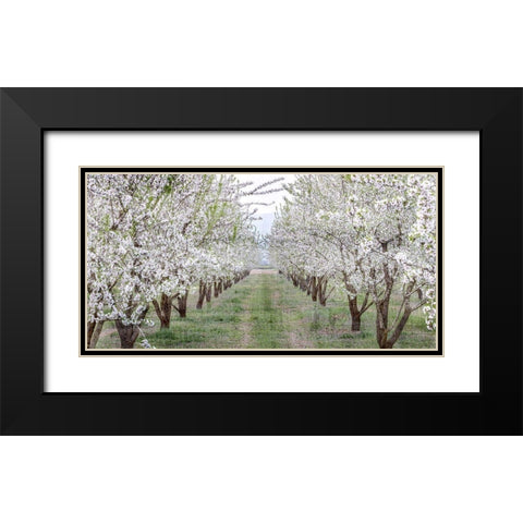 Countryside Black Modern Wood Framed Art Print with Double Matting by Kimberly, Allen