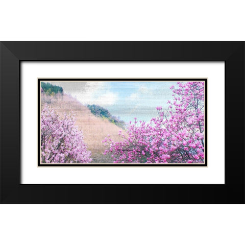 Hillside Blooms Black Modern Wood Framed Art Print with Double Matting by Kimberly, Allen